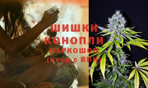 эйфоретик Елизово