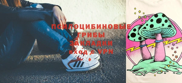 круглые Ельня