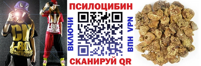OMG ССЫЛКА  купить  сайты  Бородино  Псилоцибиновые грибы мухоморы 